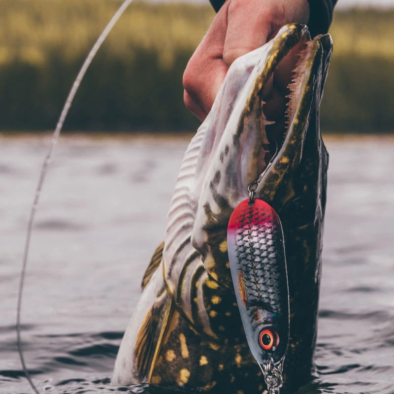 Rapala Nauvo Spoons 6.6cm/19g