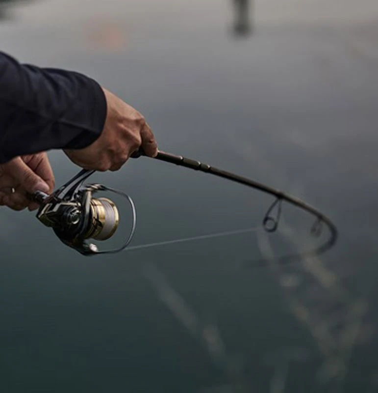 Shimano Ultegra FD Reels